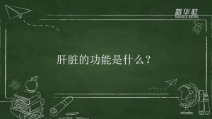 专家教你如何选鞋垫 (专家教你如何彻底删除域名，避免隐私泄露)-偌夕博客