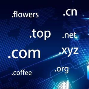 探寻网站域名是什么