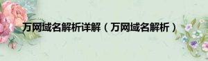 万网域名解析教程 (万网域名解析:简单步骤,快速配置li)-偌夕博客