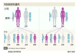 简单易懂的代名词 (简单易懂的代理服务器设置教)-偌夕博客