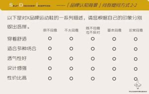 什么是p类问题和np类问题 (什么是Plesk？一个强大的网站管理工具详解li)-偌夕博客