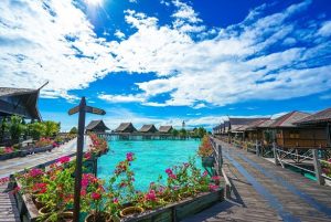 如何申请中文期刊审稿人 (如何申请中文域名？li)-偌夕博客