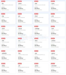 掌握海外域名的好处 (掌握海外域名注册和管理的技巧li)-偌夕博客