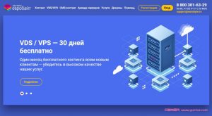 vps免费服务器 (优质VPS服务推荐：91vps为您推荐最佳选择li)-偌夕博客