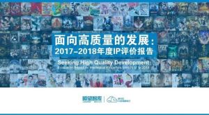 如何利用ipconfig命令获取计算机的网络关键参数 (如何利用IP在线查询保护个人隐私)-偌夕博客