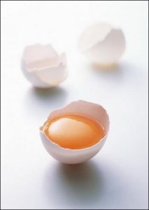 选择适合您的签证种类 (选择适合您的支付方式)-偌夕博客