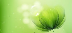 如何优化微信占用空间 (如何优化Web服务器软件性能)-偌夕博客