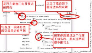 在线代理web (在线代理：为什么它是您上网时的必备工具)-偌夕博客