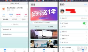 vip域名的网站有哪些软件 (VIP域名的优势和特点有哪些？)-偌夕博客