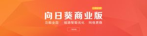 oray域名解析设置 (Oray域名注册服务商：打造您的线上品牌的首选合作伙伴)-偌夕博客