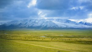 蓝虚中国：专业级的托管服务和技术支持-偌夕博客