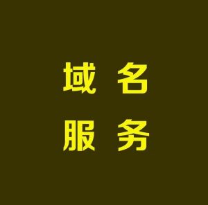 域名出售平台哪个好 (域名出售：寻找潜在买家，让您的域名变现！)-偌夕博客