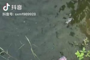 快速准确的找到课题目标 (快速准确的IP查询地址技巧)-偌夕博客