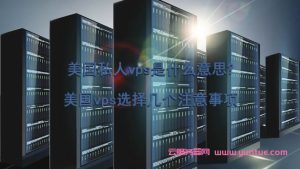 国外vps租用 (国外VPS租用：选择最适合您需求的虚拟专用服务器)-偌夕博客
