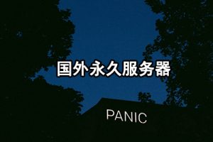 国外永久免费crm系统 (国外永久免费服务器:稳定可靠,助力您的在线项目成功)-偌夕博客