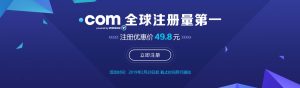 域名注册价格及续费 (域名注册价格大揭秘：普及版、高端版和VIP版对比)-偌夕博客