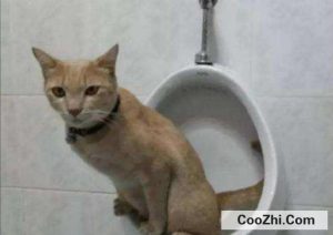 kvm拉出来了怎么放进去 (KVMLA：一位神秘的中文编辑身份的揭秘)-偌夕博客