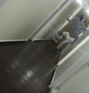 diahosting:满足您的在线业务需求的首选主机服务商-偌夕博客