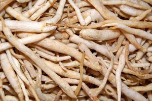 为什么选择北京作为都城 (为什么选择BlueVM云服务器？li)-偌夕博客