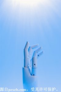 云服务器出租管理系统 (云服务器出租的优势及应用场景)-偌夕博客