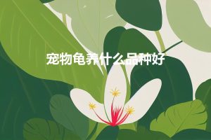 中国最好的空间 (中国空间排行榜：最顶尖的空间科研机构)-偌夕博客