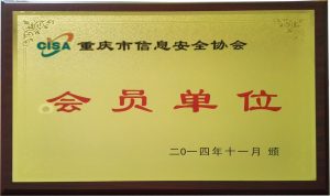 重庆服务器托管 (重庆服务器:安全可靠,支持多种应)-偌夕博客