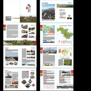 投资指南模板 (投资指南：如何利用域名中介平台进行稳健投资)-偌夕博客