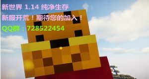 七日世界服务器选择 (服务器选择：为什么我们选择在美国搭建服务器)-偌夕博客