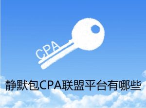 什么是cpa推广 (什么是cpanel？为什么它对网站管理如此重要？)-偌夕博客