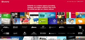 什么是网站域名域名都是www开头的吗 (什么是网站域名备案？为什么需要进行备案？li)-偌夕博客