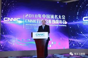 中国域名发展2017 (中国域名发展趋势与挑战)-偌夕博客