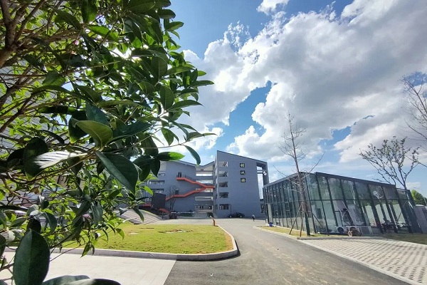 如何选择合适的网址代理服务提供商