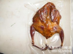 建站之星安装模板 (建站之星安装指南：从零开始，成为建站高手)-偌夕博客