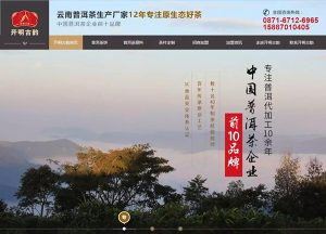 请你为网站首页你写几句简单的介绍语 (为你的网站选择可靠的主机合租方案/)-偌夕博客