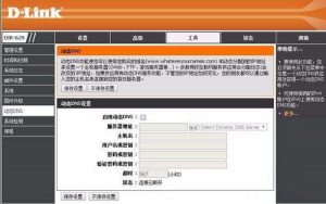 花生壳动态域名干嘛用的 (花生壳动态域名：轻松实现远程访问和管理)-偌夕博客