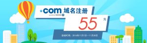 in域名注册量 (in域名注册：全面解读in顶级域名的注册流程和步骤li)-偌夕博客