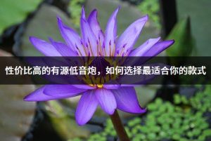 选择最适合你的英文 (选择适合您需求的服务器虚拟化技术的关键)-偌夕博客