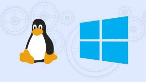 便宜云服务器5元一个月 (便宜云服务器提供商推荐及评价)-偌夕博客