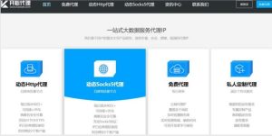 国内免费代理 (中国免费代理服务器:隐身上网的最佳选择li)-偌夕博客