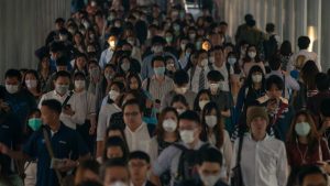 enzuy (ENZU的中文编辑服务将为您的内容带)-偌夕博客