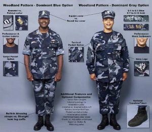 美国防攻击服装品牌 (美国防攻击服务器:保障国家安全的重要战略举措)-偌夕博客