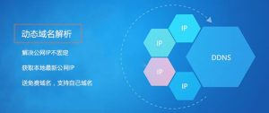 免费动态域名有哪些 (免费动态域名解析:提供实时更新的域名解析服务)-偌夕博客