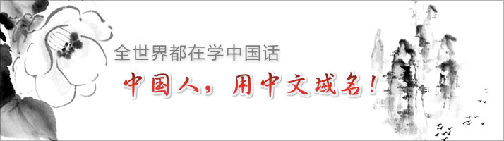 国际域名注册网站 (国际域名注册流程及常见问题解答)-偌夕博客