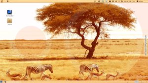 themefromschindlers list钢琴谱 (Themeforest:为您提供多样化的主题选择li)-偌夕博客