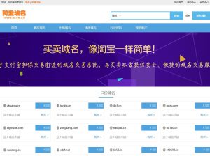 域名拍卖平台 (稀缺域名拍卖：难得一见的珍稀网站地址li)-偌夕博客