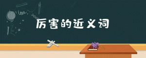 了解的近义词 (了解VPS：VPS的定义、作用与意义li)-偌夕博客