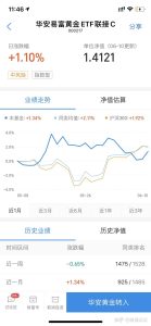 利用Gold进行噪音去除,是利用什么菜单? (利用Godaddy进行域名注册的指南和技巧)-偌夕博客