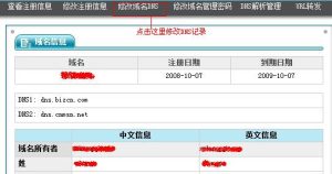 oray域名解析设置 (Oray域名注册服务商：为您提供简单高效的域名注册服务li)-偌夕博客