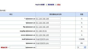 域名解析ip在线查询 (IP在线查询的必备工具)-偌夕博客