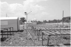 了解优化计划 (了解并优化n点虚拟主机管理系统的功能li)-偌夕博客